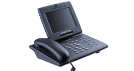 GrandStream GXV3005
