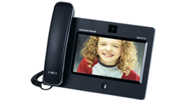 GrandStream GXV3175